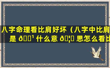 八字命理看比肩好坏（八字中比肩是 🌹 什么意 🦆 思怎么看比肩）